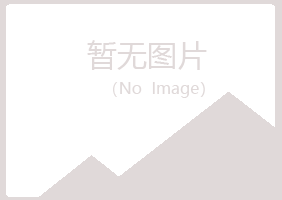 平川区淡忘能源有限公司